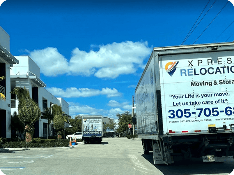 Professional movers delivering household belongings to a Florida home